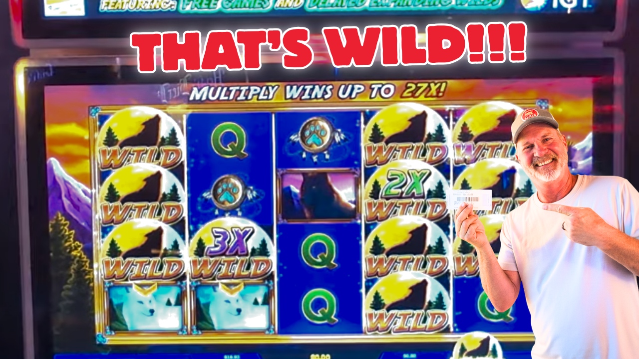 All Videos